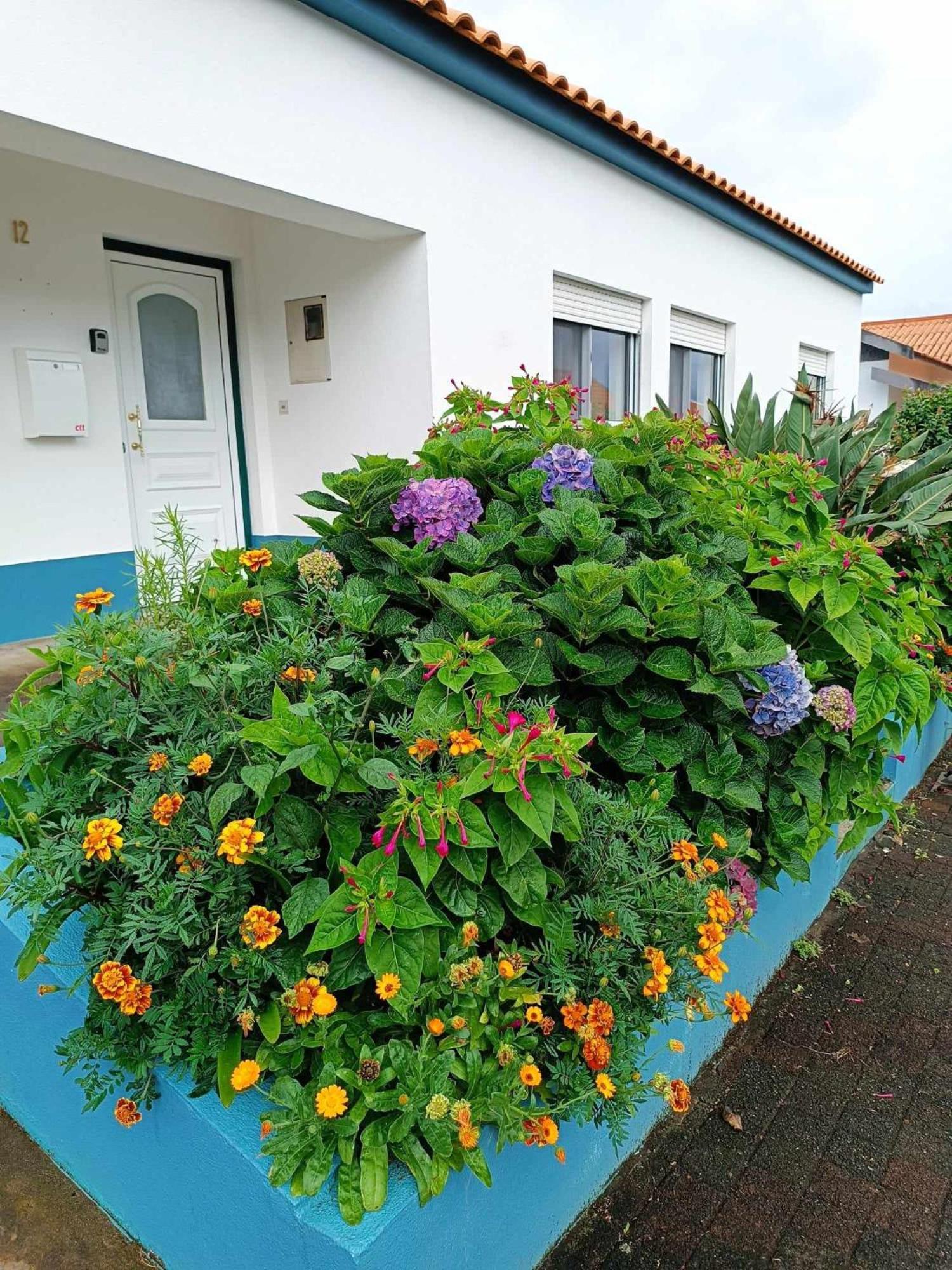 Apartamento Da Matilde ซังตาครูซ ดัส ฟลอริช ภายนอก รูปภาพ